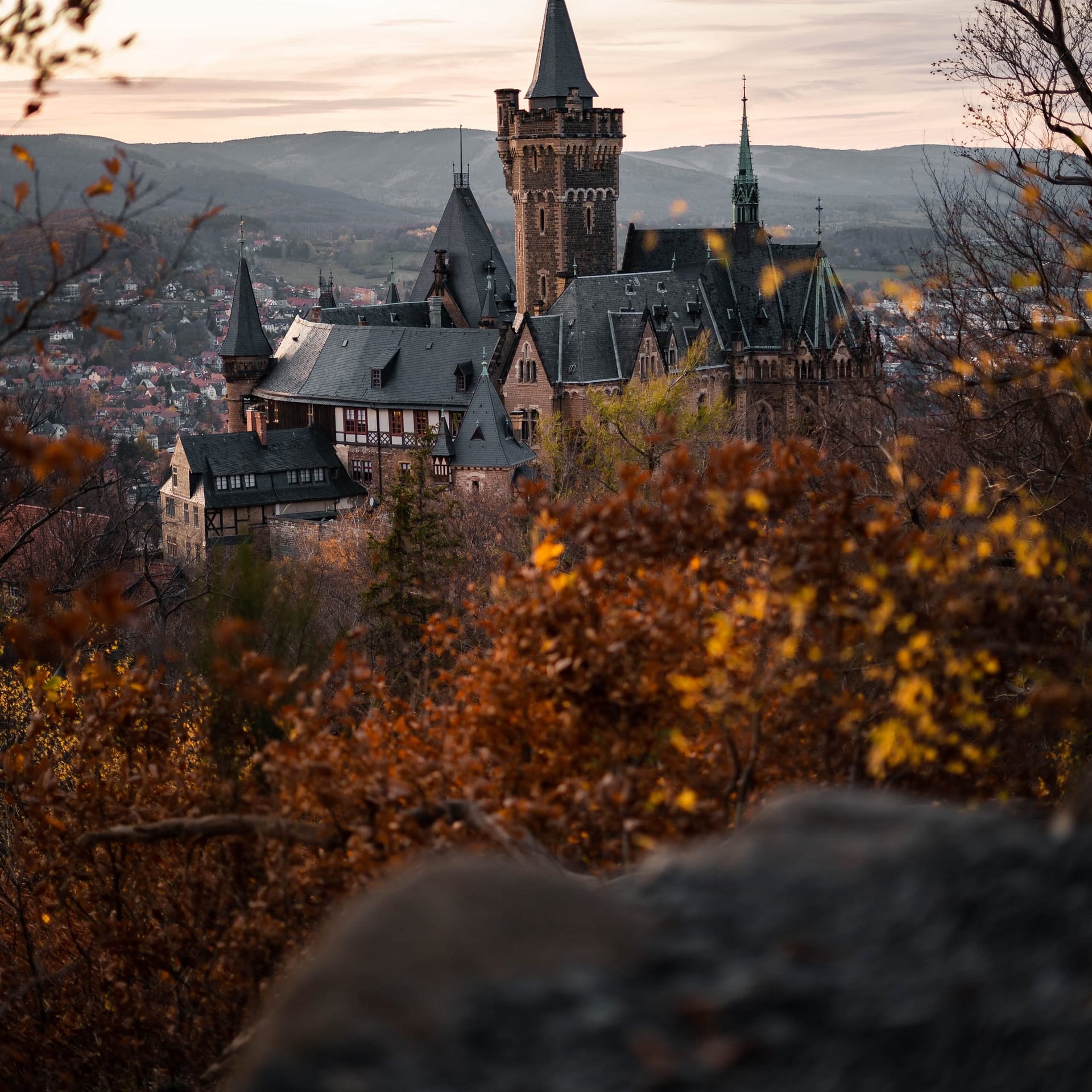 La véritable amitié ne gèle pas en hiver en Allemagne